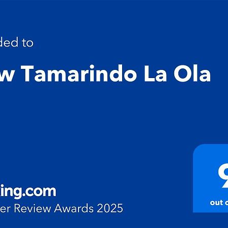 New Tamarindo La Ola Apartment คอร์ราเลโฮ ภายนอก รูปภาพ
